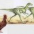 Ученые назвали курицу ближайшим родственником летающих динозавров