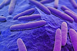 Ученые нашли способ защиты импплантатов от бактерий