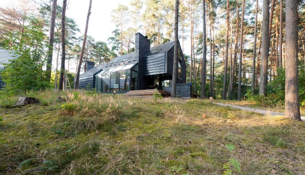 Черный дом в сосновом лесу