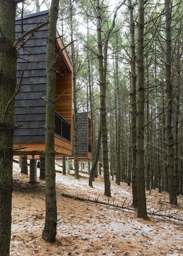 Деревянные домики для туристов в лесопарке Миннеаполиса