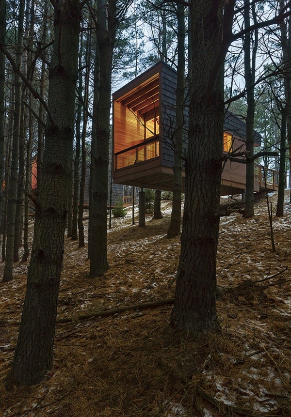 Деревянные домики для туристов в лесопарке Миннеаполиса