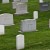 В США тела покойников планируют перерабатывают на удобрение