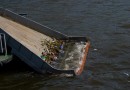 Москву-реку активно очищают от мусора
