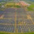 Аэропорт Кочин в Индии полностью перешёл на солнечную энергию